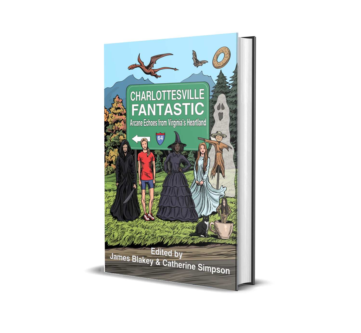 Charlottesville Fantastic (Hardback)